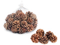 Set di 4 sacchetti di pigne naturali per decorazioni natalizie / autunnali e composizioni floreali. Adatte per allestimenti, vetrine e creazioni artigianali. In sacchetto a…