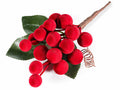 Rametti pick di bacche rosse in velluto, set da 20 pezzi, cm 11 H (con gambo 18)