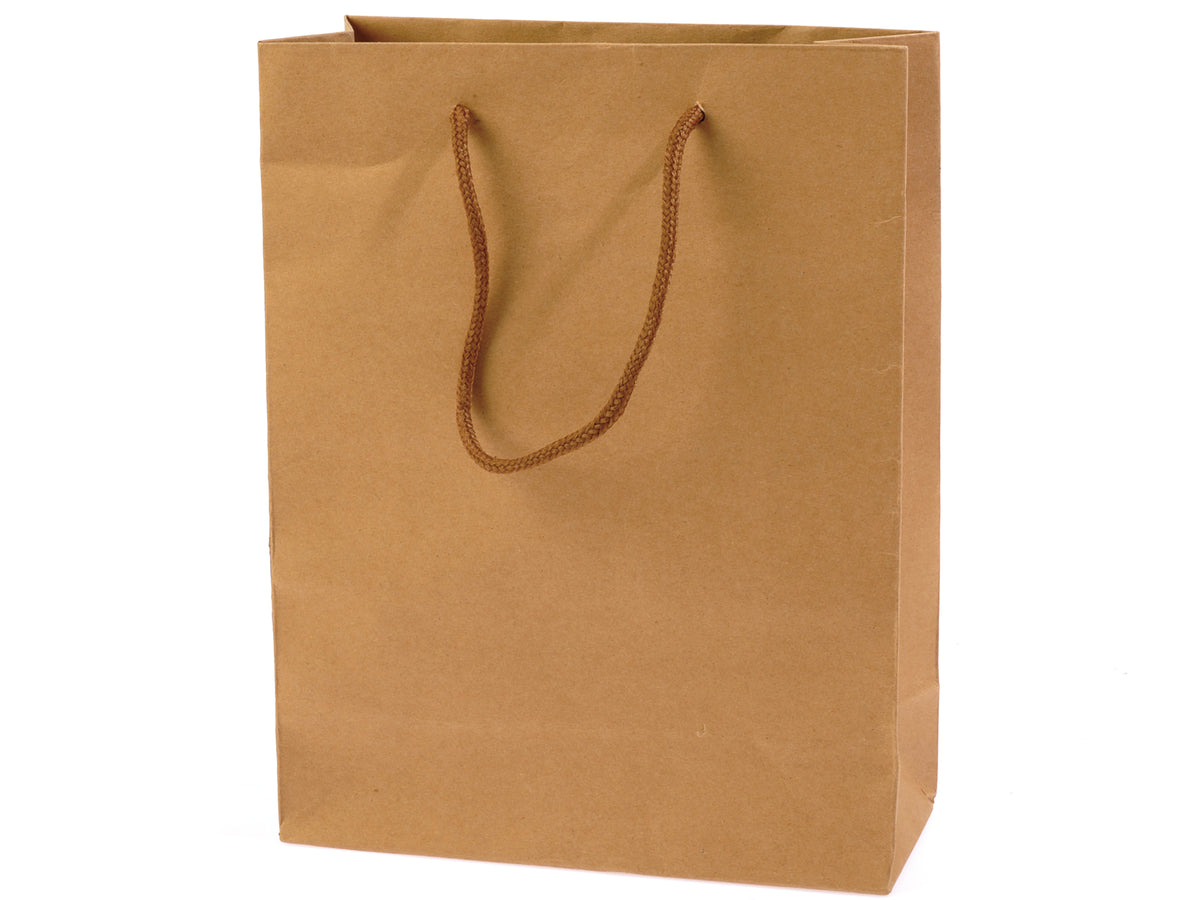 Buste regalo / sacchetti medi in carta naturale con manici, ideali per negozi, set da 30 pezzi, cm 19 x 8 x 24,5 H