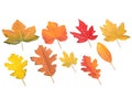 Foglie autunnali decorative in carta plastificata con gambo modellabile, set da 9 pezzi, da cm 6x10,5H a 10x17H