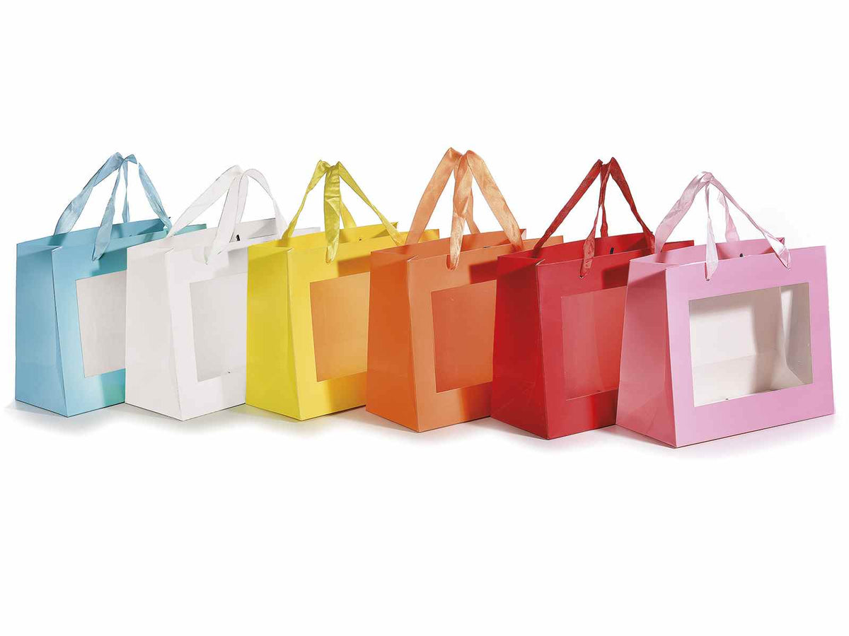 Sacchetti grandi in carta colorata con manici in stoffa e finestra, set da 18 pezzi, cm 24 x 11 x 20 H