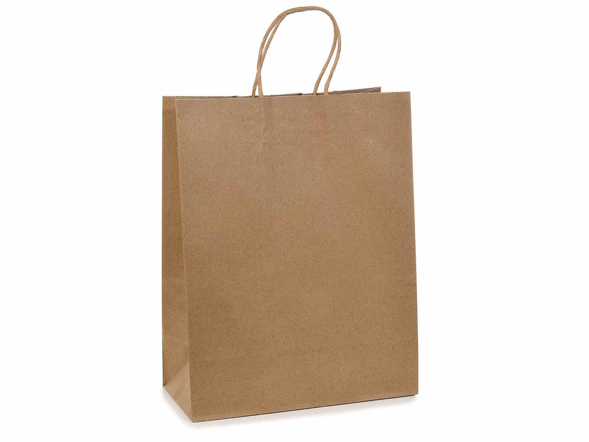 Sacchetti / buste grandi carta kraft riciclata con manico ritorto, set da 36 pezzi, cm 25,5 x 12,5 x 33 H