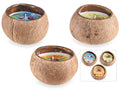Candele profumate in noce di cocco vero a vasetto, set da 3 pezzi, Ø 10,5 cm x 7,5 H
