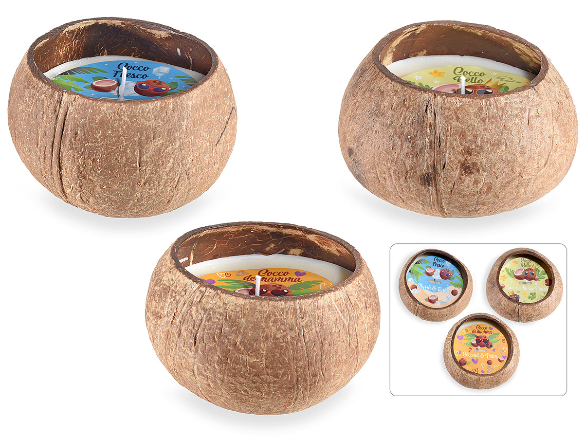Candele profumate in noce di cocco vero a vasetto, set da 3 pezzi, Ø 10,5 cm x 7,5 H