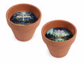 Candele alla Citronella in vasetto di terracotta, set da 16 pezzi, Ø 7,5 cm x 6 H