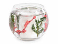 Candele profumate in vasetto di vetro trasparente con gel e decori naturali, set da 4 pezzi, Ø 10 cm x 8 H