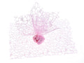 Tulle porta confetti rete rosa, set da 50 pezzi, cm 24 x 24 H