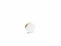 Scatole conchiglia color avorio piccola, set da 100 pezzi, cm 9 x 2,5 x 8 H
