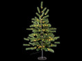 Pini natalizi / alberi di Natale da H 160 con 128 luci LED bianco caldo, 128, Mt 1,60 H