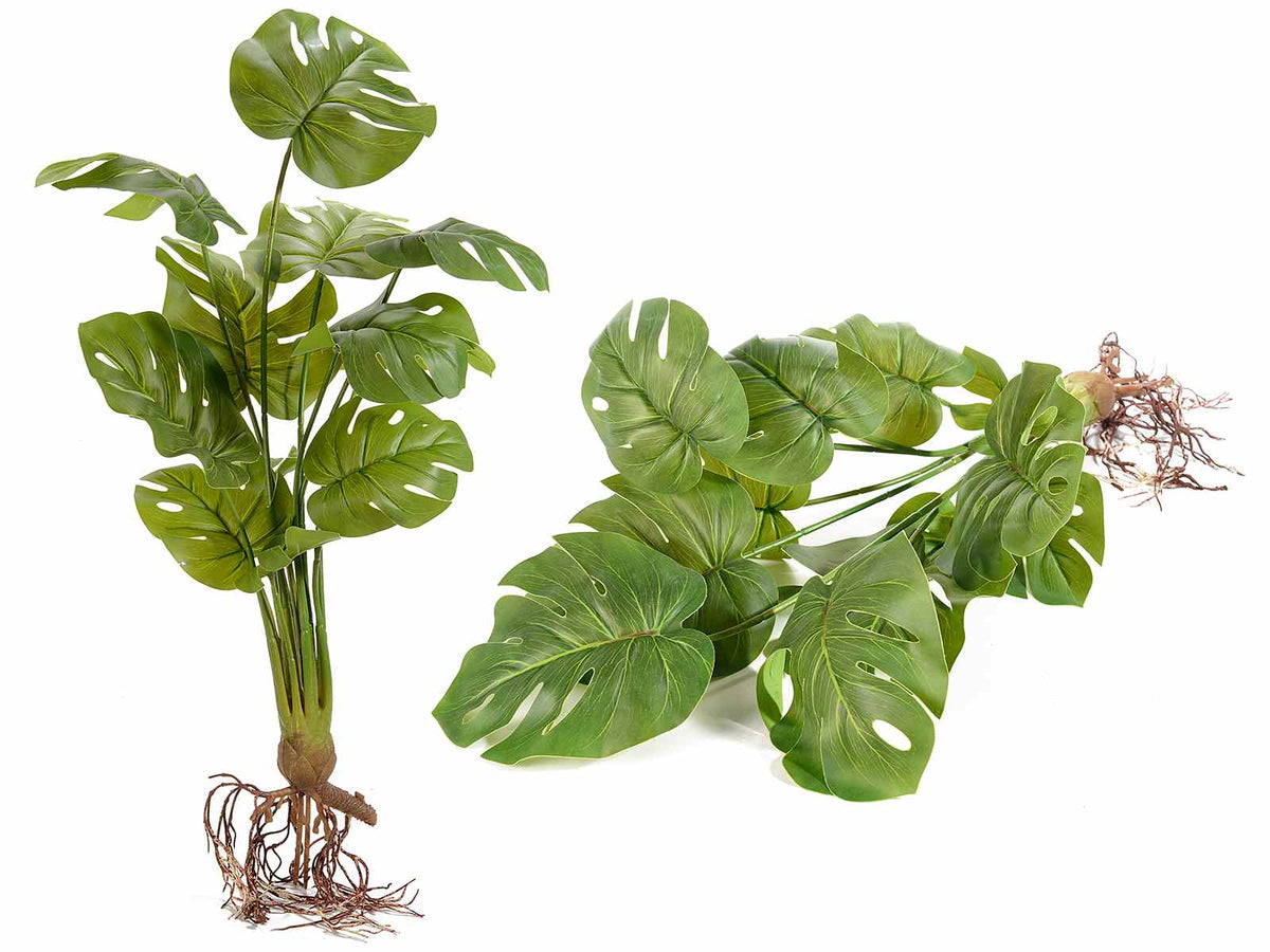 Mazzi di monstera artificiale con radici, set da 4 pezzi, cm 31 H (con gambo 54)