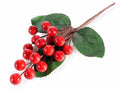 Rametti pick di bacche rosse artificiali, set da 24 pezzi, cm 11,5 H (con gambo 18,5)