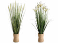 Piante coda di coniglio ornamentali in vaso in corda, set da 2 pezzi, Ø 9 cm x 63 H