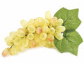 Grappoli di uva bianca decorativa artificiale con foglie ideale, set da 6 pezzi, cm 21 H