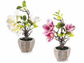 Magnolie artificiali fiorite in vaso di cemento, set da 4 pezzi, Ø 12 cm x 35 H