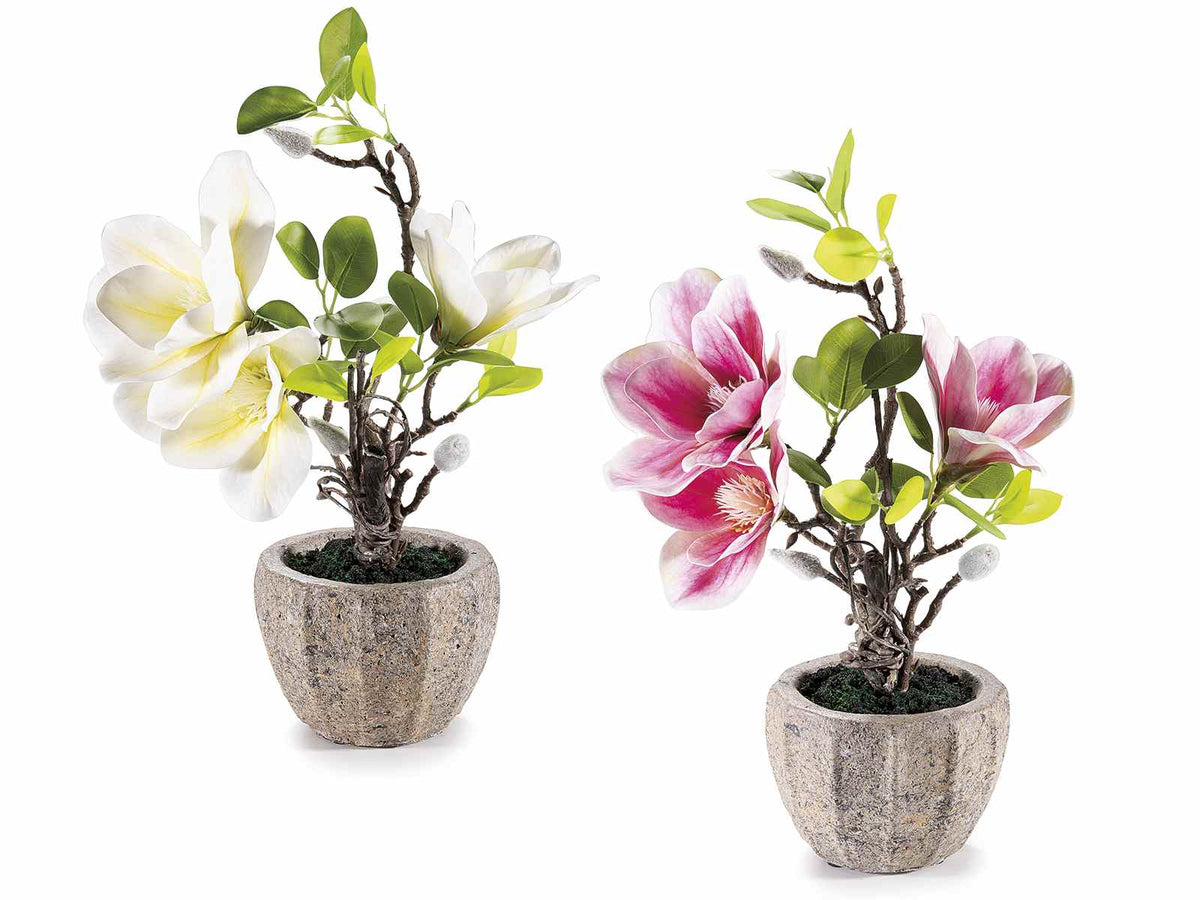 Magnolie artificiali fiorite in vaso di cemento, set da 4 pezzi, Ø 12 cm x 35 H