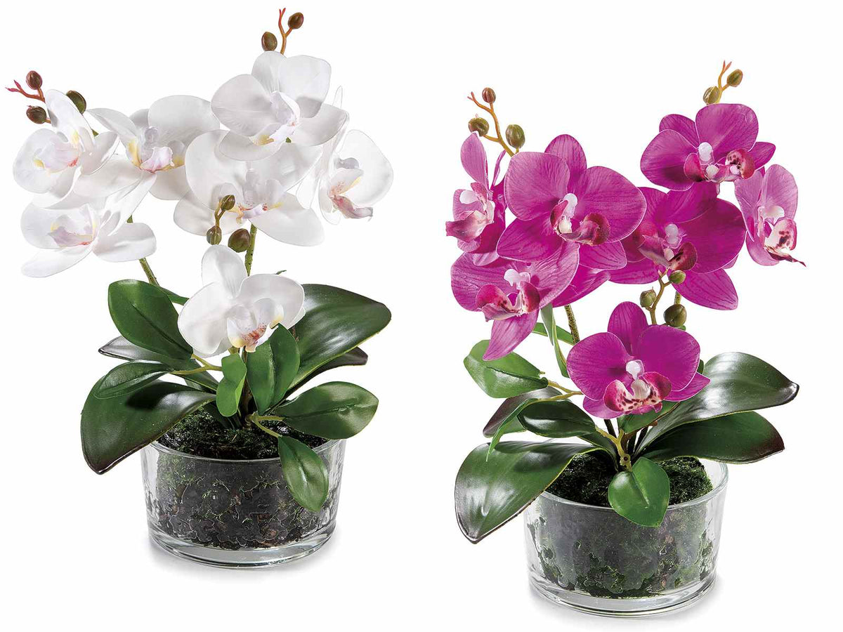 Orchidee artificiali fiorite bianche e fucsia in vasetto di vetro, set da 4 pezzi, Ø 10,5 cm x 26 H