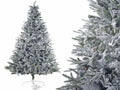 Pini natalizi / alberi di Natale super innevati New Canada H 180 con 736 rami, M 1,80 H