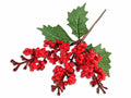 Rametti pick natalizi di bacche rosse e foglie verdi, set da 24 pezzi, cm 11 H (con gambo 21)