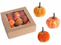 Zucche artificiali decorative in scatola da 9 pezzi. Ideali per allestire, set da 6 pezzi, Zucca: Ø 5 cm x 5 H