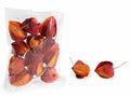 Bacche invernali artificiali con gambo. Ideali per decorare, arredare, set da 8 pezzi, Ø3,5cmx4,5H (con gambo7,5)
