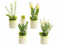 Vasi colorati ad effetto juta con fiori artificiali bianchi, set da 4 pezzi, cm 6,5 x 6 x 23 H