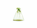 Sacchetti organza verde mela con coulisse di chiusura in raso è una soluzione, set da 30 pezzi, cm 23x30H (al tirante 24,5)