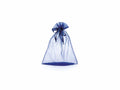 Sacchetto in organza blu con coulisse di chiusura in raso è una soluzione, set da 30 pezzi, cm 23x30H (al tirante 24,5)