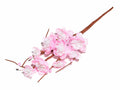 Rametti di fiori di pesco artificiali primaverili, set da 12 pezzi, cm 16 H (con gambo 25,5)