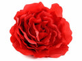 Rose giganti in stoffa rossa con gancio posteriore senza gambo, ideali per San, set da 2 pezzi, Ø 42 cm x 25 H