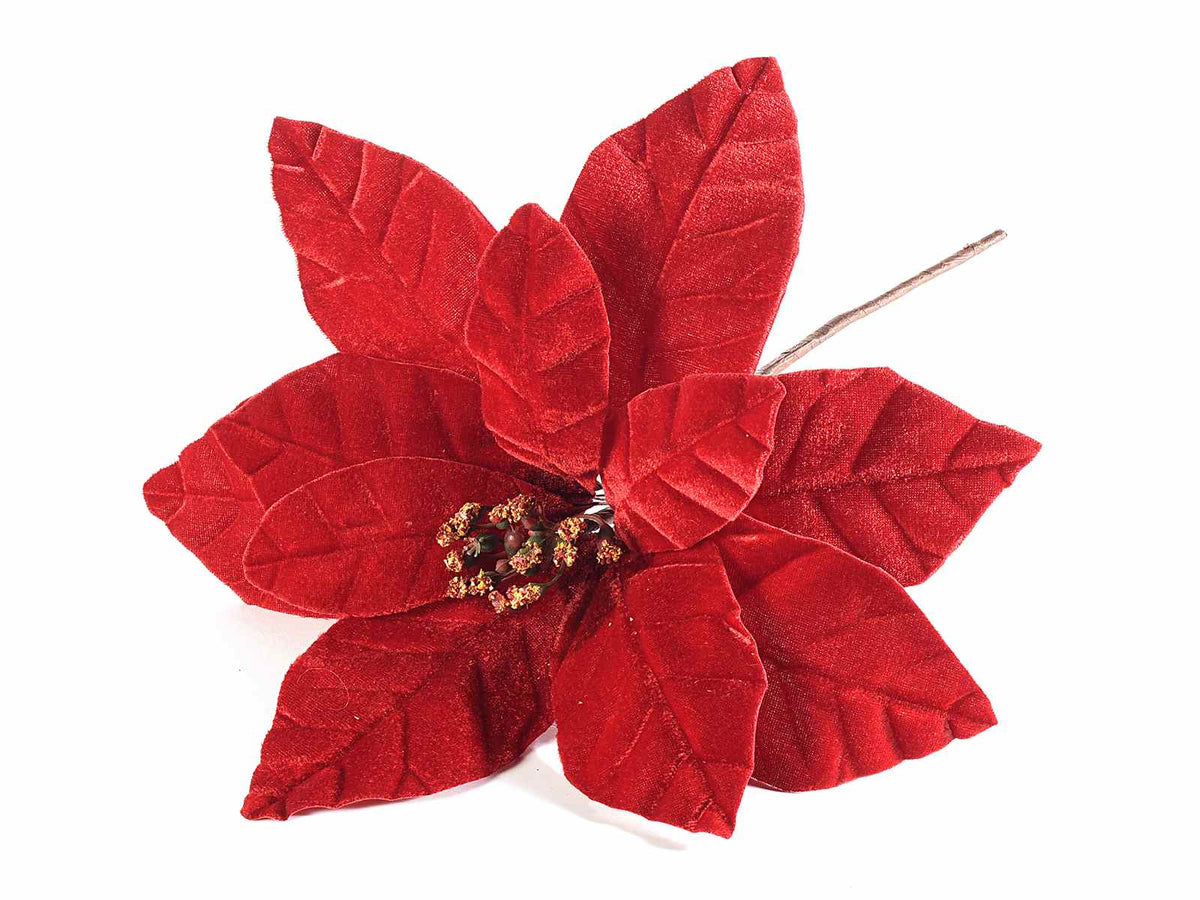 Stelle di Natale pick in velluto rosso con gambo, pistilli glitterati e petali, set da 12 pezzi, Ø 32 cm x 25 H