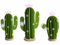 Cactus in panno con fiorellini colorati su base in legno, set da 2 pezzi, Grande: cm 14 x 8 x 24,5 H