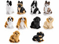 Miniature cagnolini decorativi seduti in finto pelo, curate nei particolari, set da 13 pezzi, cm 5 x 6,5 x 8 H