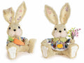 Coniglietti pasquali seduti in fibra naturale con fiori e carota decorativa, set da 2 pezzi, cm18x13x26H (orecc.estese)