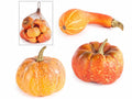 Zucche artificiali decorative dentro a confezione a sacchetto di rete da 12, set da 3 pezzi, Zucca: Ø 6,5 cm x 6,5 H