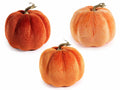 Zucche artificiali rifinite in velluto, perfette per decorazioni e allestimenti, set da 3 pezzi, Ø 22,5 cm x 19 H