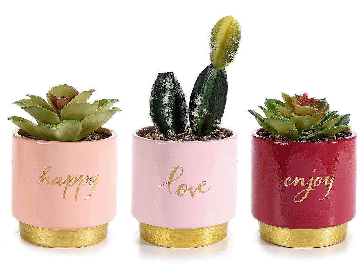 Vasi di ceramica colorata con piantine grassa artificiali e scritte dorate, set da 3 pezzi, Ø 8 cm x 16,5 H