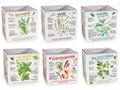Vasi quadrati erbe aromatiche in ceramica con decori e scritte, set da 6 pezzi, cm 14 x 14 x 14 H