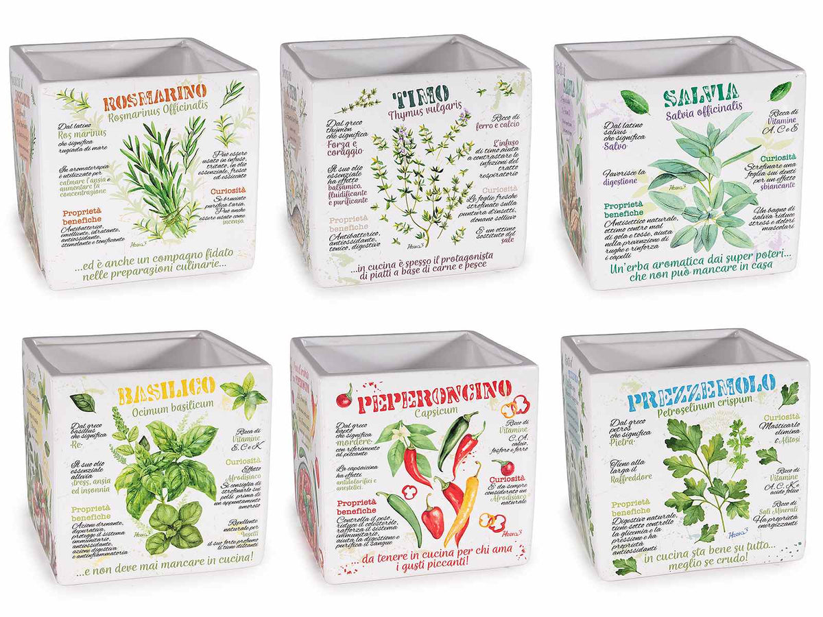 Vasi quadrati erbe aromatiche in ceramica con decori e scritte, set da 6 pezzi, cm 14 x 14 x 14 H