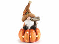 Gnometto autunnale in magnesia su zucca con luci LED e cartello con scritta, cm 22,5 x 19 x 39 H