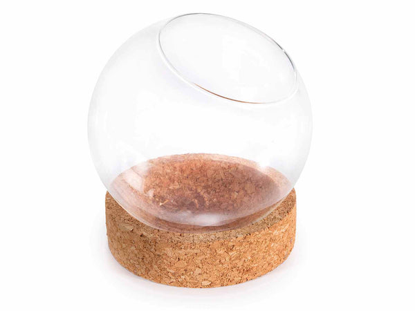 Vasi in vetro a forma di sfera con base in sughero, set da 2 pezzi, Ø 15 cm x 16 H