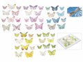 Farfalle decorative dipinte a mano con clip misure assortite in scatola da 10, set da 5 pezzi, Grande: cm 8 x 8 H
