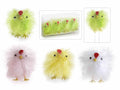 Gallinelle pasquali decorative con piume vere colorate in scatola pvc, set da 4 pezzi, cm 5 H