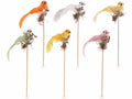 Uccellini colorati con piume e paglietta su stick in legno, set da 12 pezzi, cm 6 H (con stick 27)