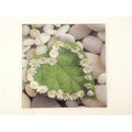 Quadretto in vetro 30x30 cm, soggetti assortiti (kit da 5)
