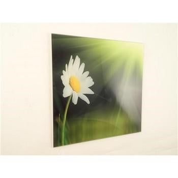 Quadretto in vetro verde con margherita, 30x30 cm (kit da 10)