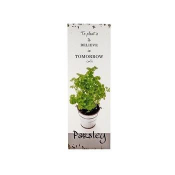 Quadro in legno Parsley con pianta di prezzemolo