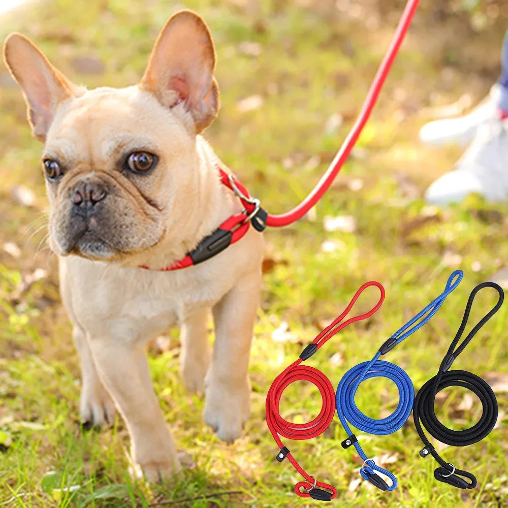 Guinzaglio per Addestramento Cani P-Leash, Materiale in Nylon Resistente, Robusto e Confortevole, Corda di Trazione Anti-Trazione per Animali Domestici