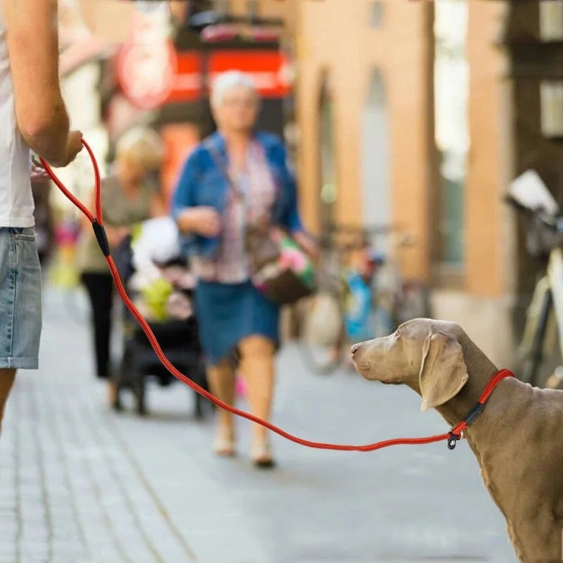 Guinzaglio per Addestramento Cani P-Leash, Materiale in Nylon Resistente, Robusto e Confortevole, Corda di Trazione Anti-Trazione per Animali Domestici