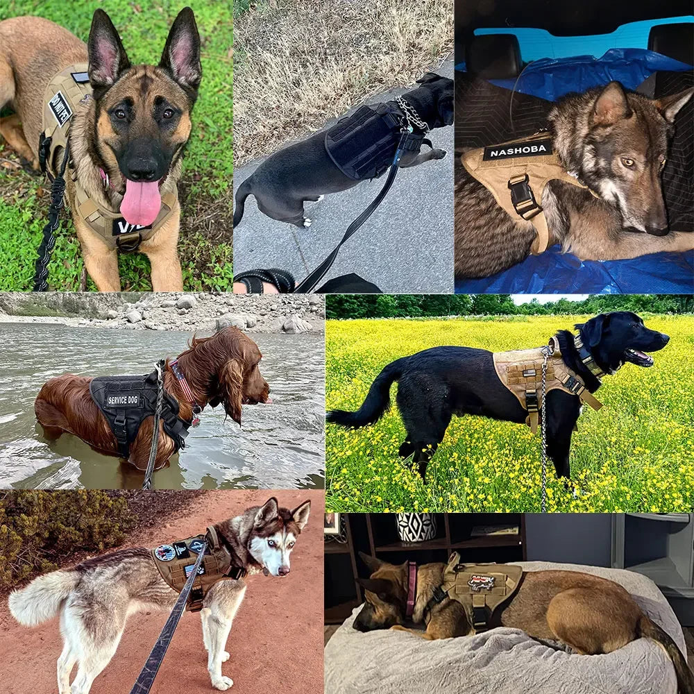 Set pettorina tattica e guinzaglio per cani, taglie S-XL – dettaglio 4