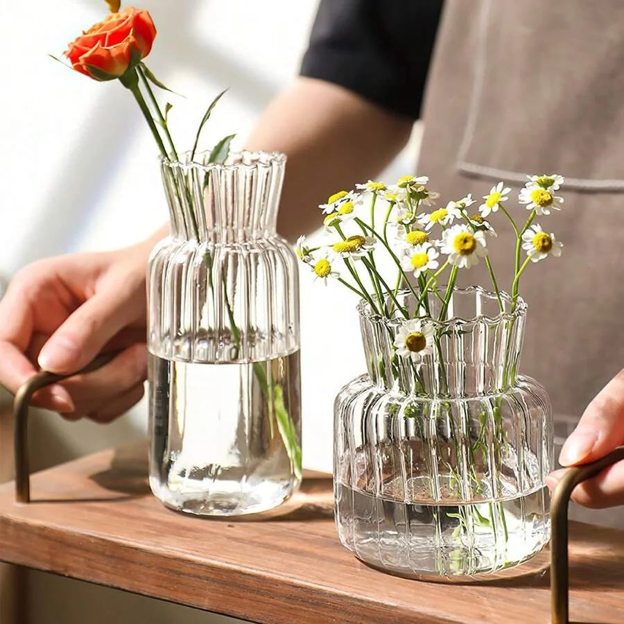 Vasi in vetro a strisce per fiori e piante idroponiche – dettaglio 2